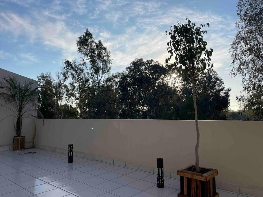 Otay Studio Great Patio Near Otay Crossing & Airport تيجوانا المظهر الخارجي الصورة